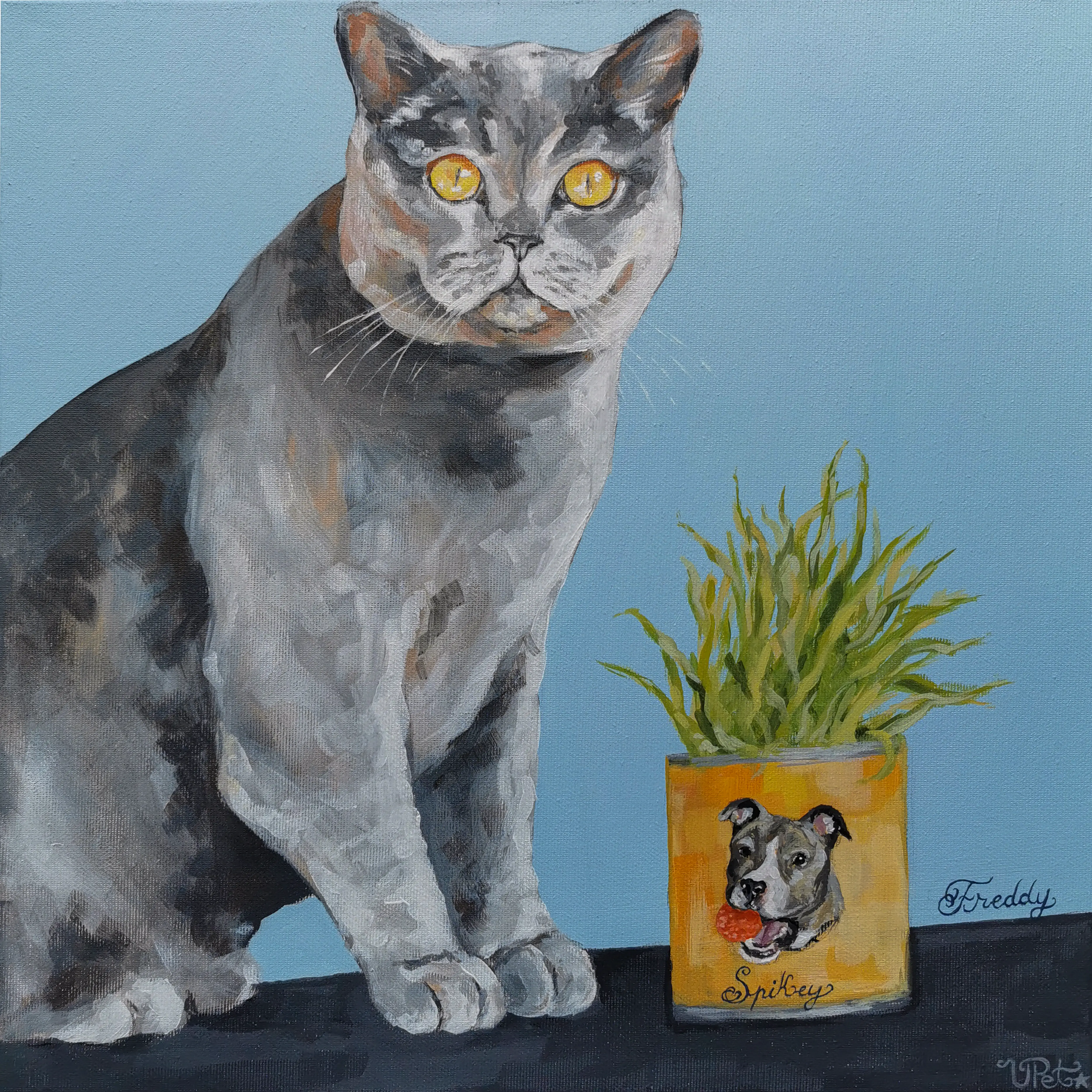 40x40 cm