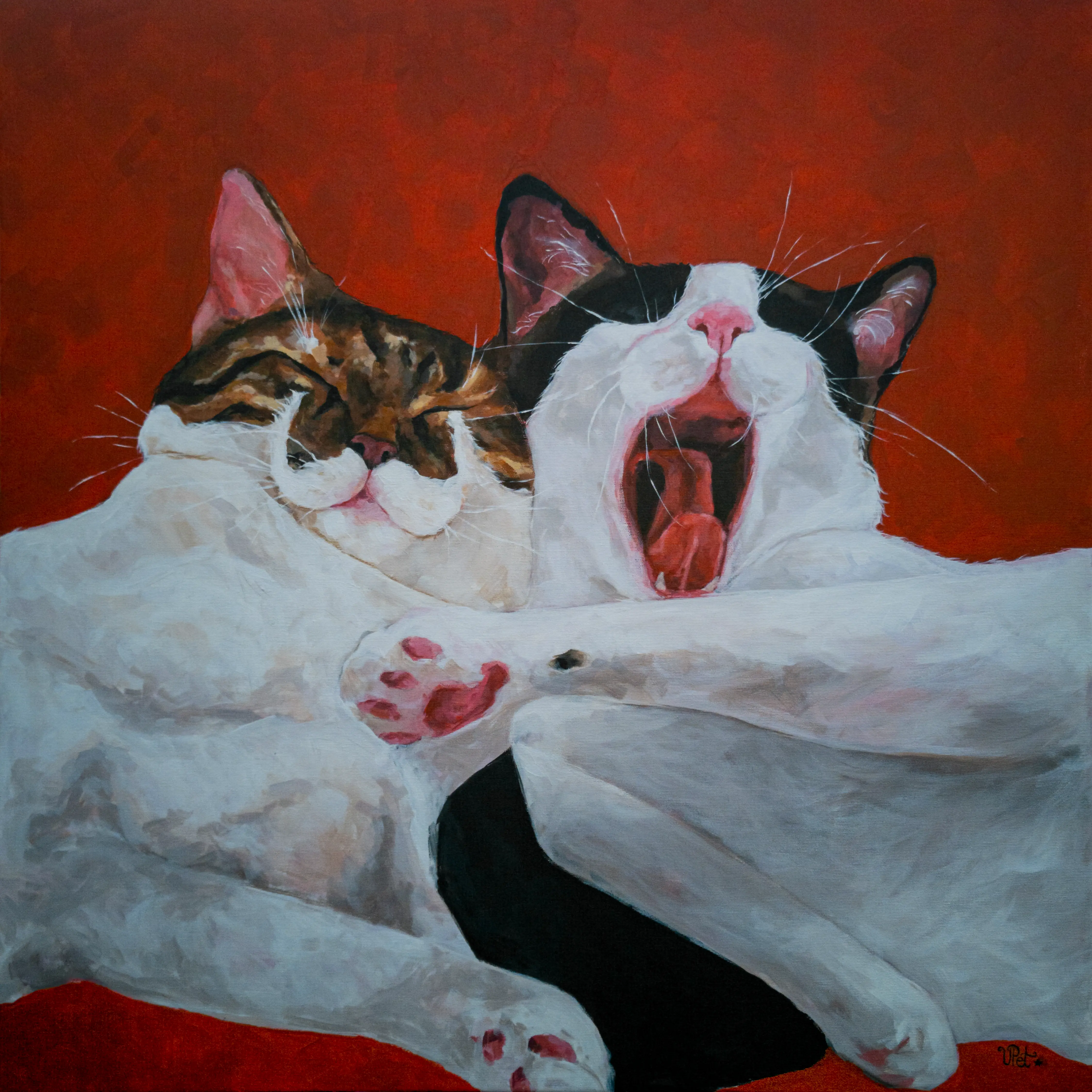 80x80 cm
