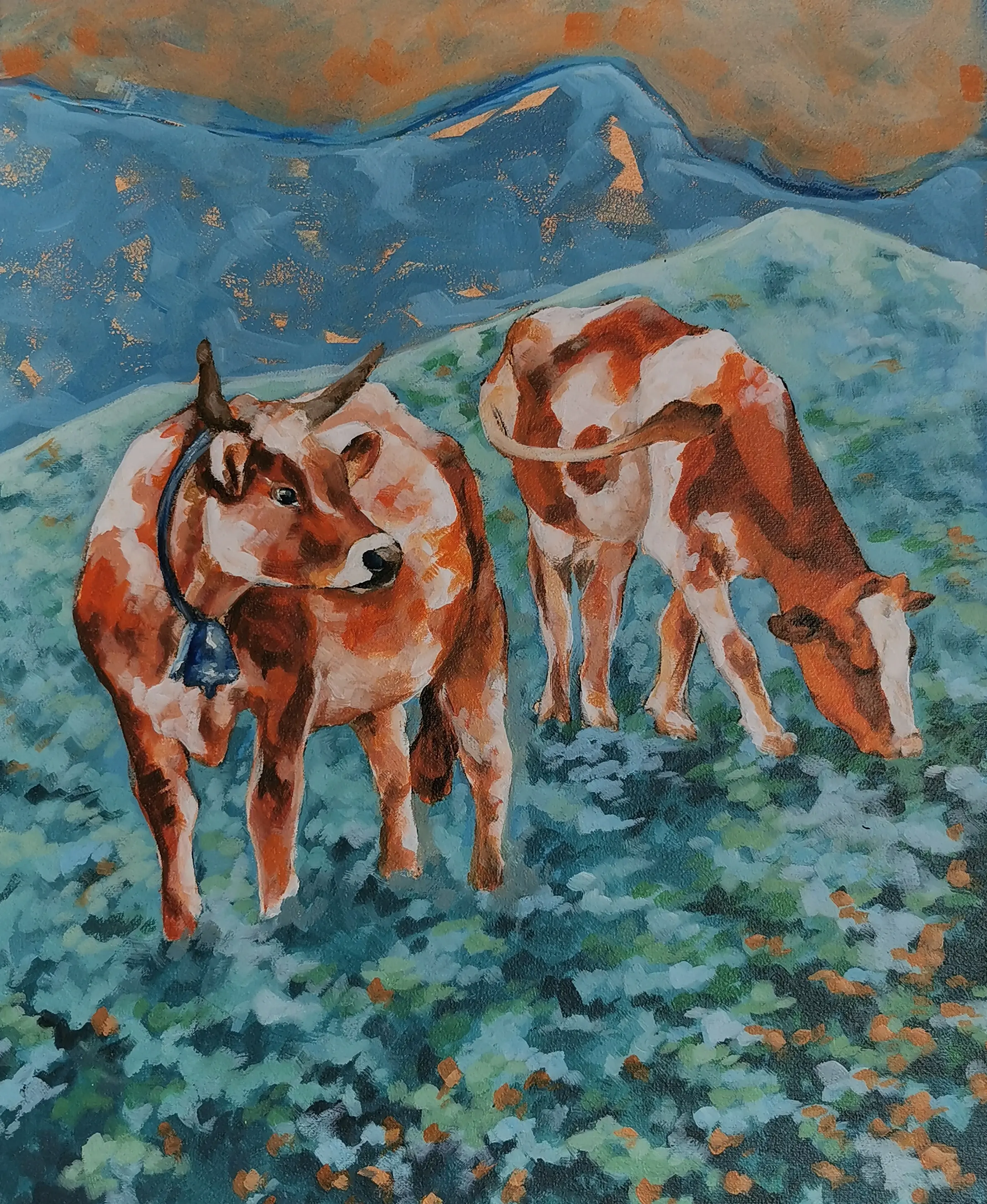 50x60 cm